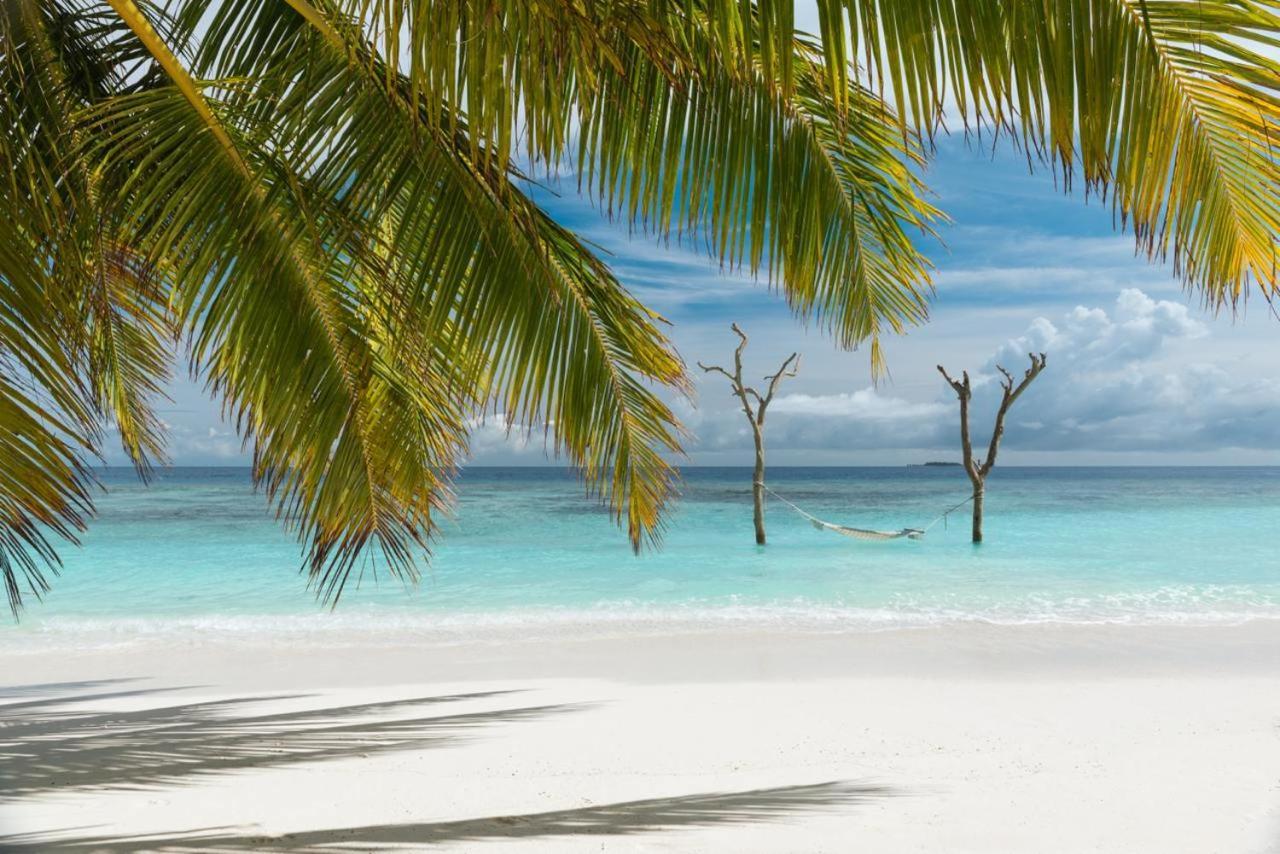 Bandos Maldives - One Way Transfer Free For From 1st 30th Sept 2025 For Bookings From 16 Apr 2025 Resort 4*