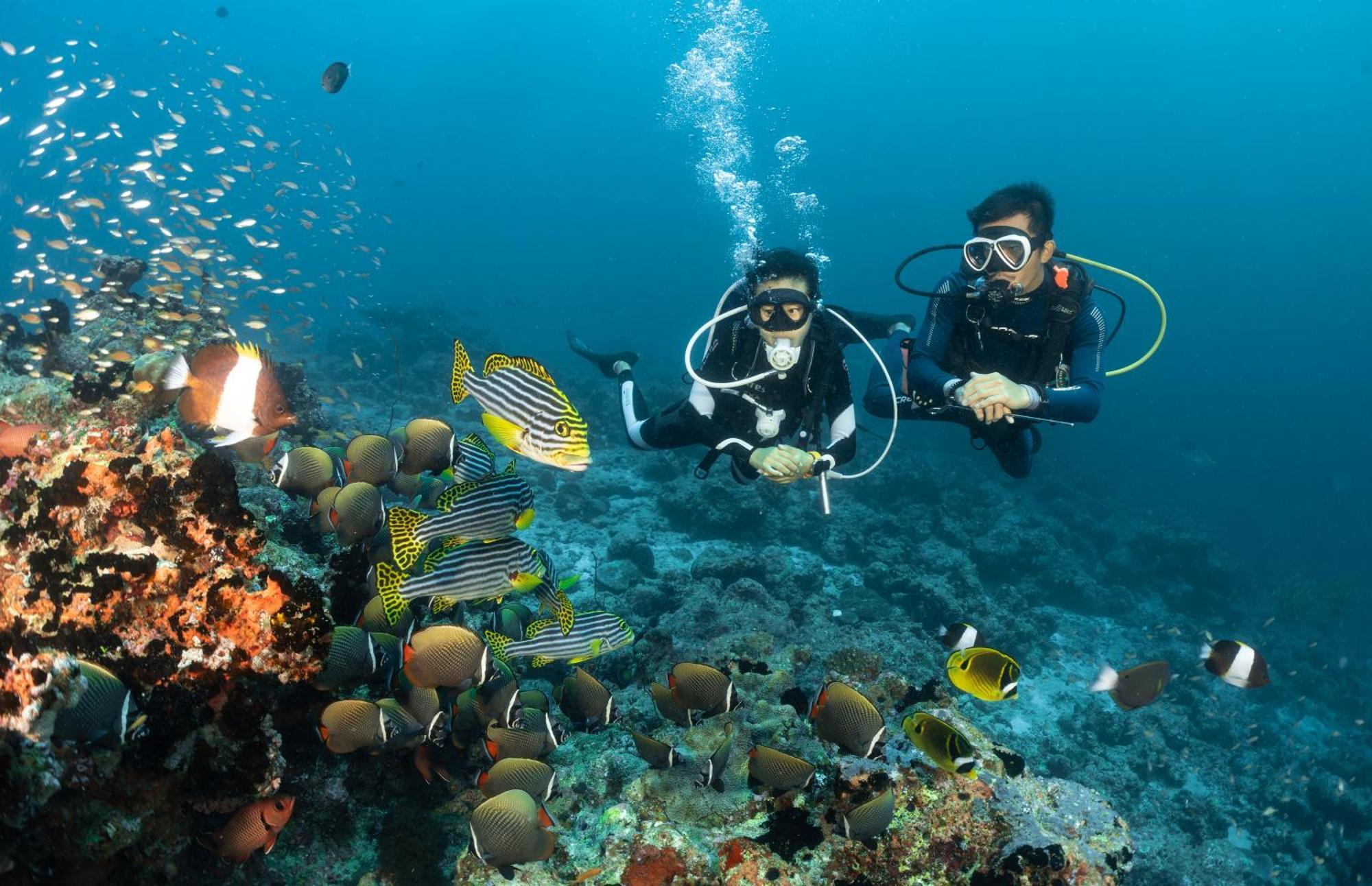 Bandos Maldives - One Way Transfer Free For From 1st 30th Sept 2025 For Bookings From 16 Apr 2025 4*