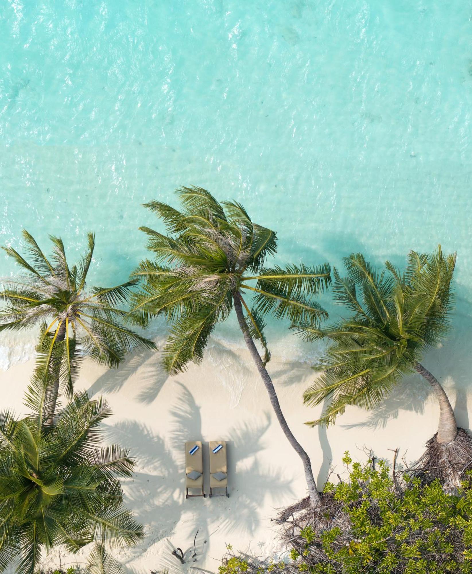 Bandos Maldives - One Way Transfer Free For From 1st 30th Sept 2025 For Bookings From 16 Apr 2025
